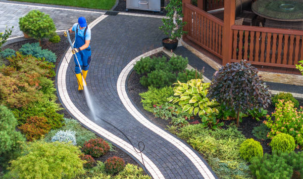 Best Deck Cleaning Services  in Homestead, PA